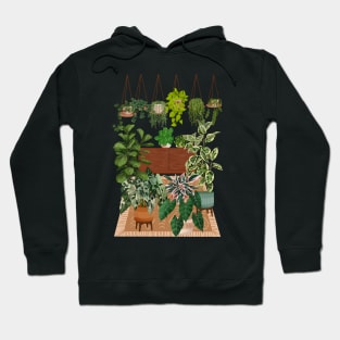 House plants collection 30.6 Hoodie